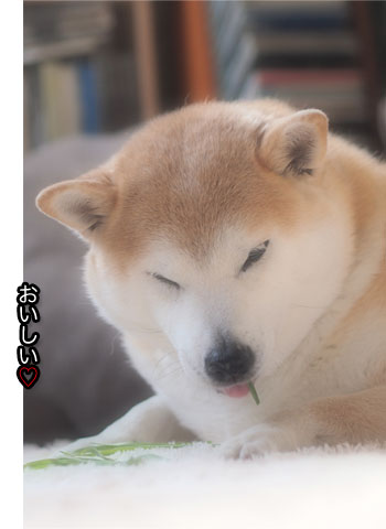 28日ブログ5.jpg