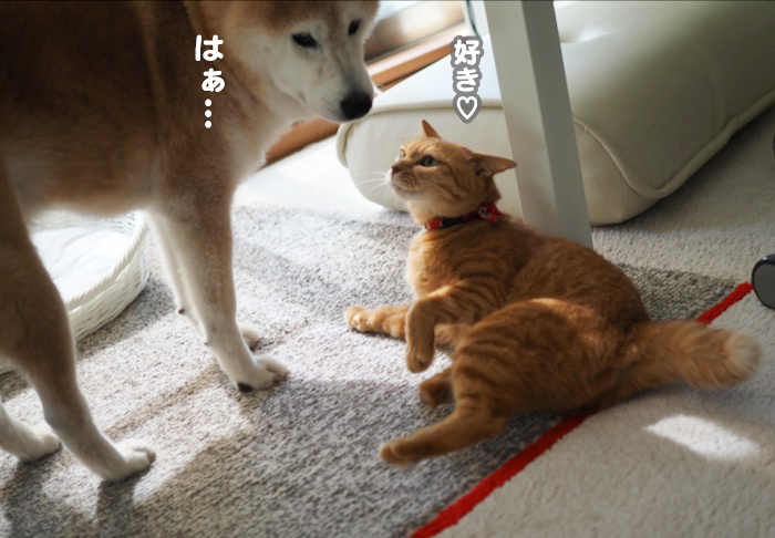 6日夕ブログ１０