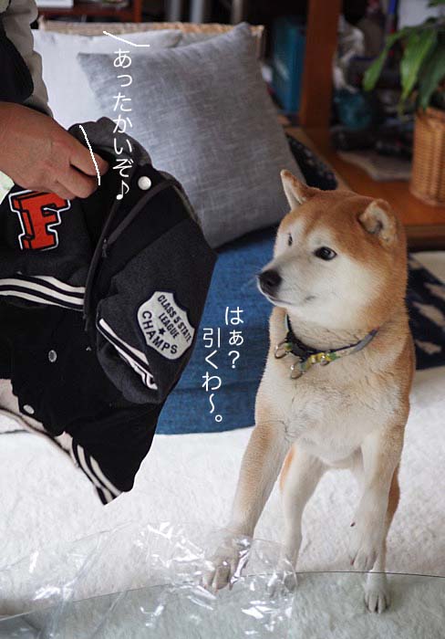 31日午後ブログ4