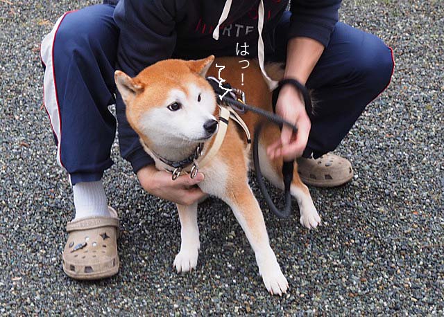 10日午前ブログ４