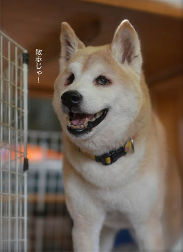 29日ブログ6.jpg