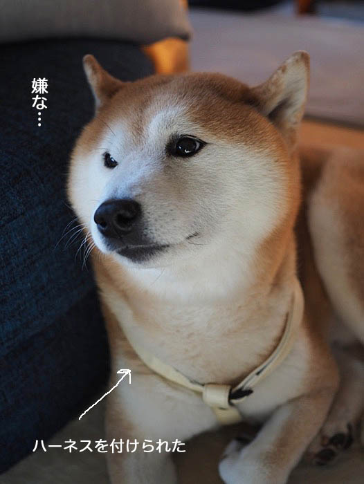 10日ブログ２