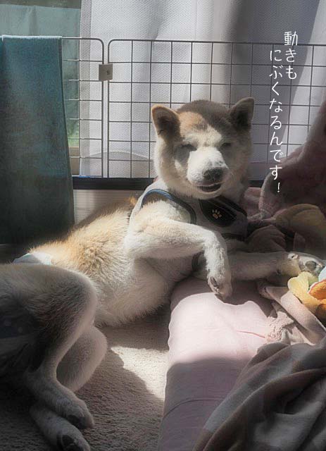 11日ブログ4
