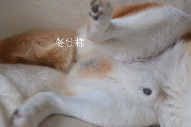 23日ブログ7
