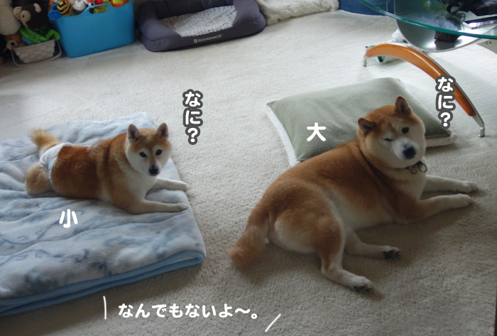 26日ブログ１