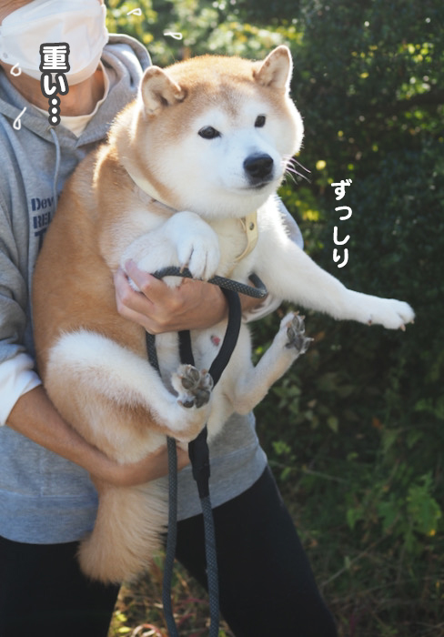 30日夕ブログ２