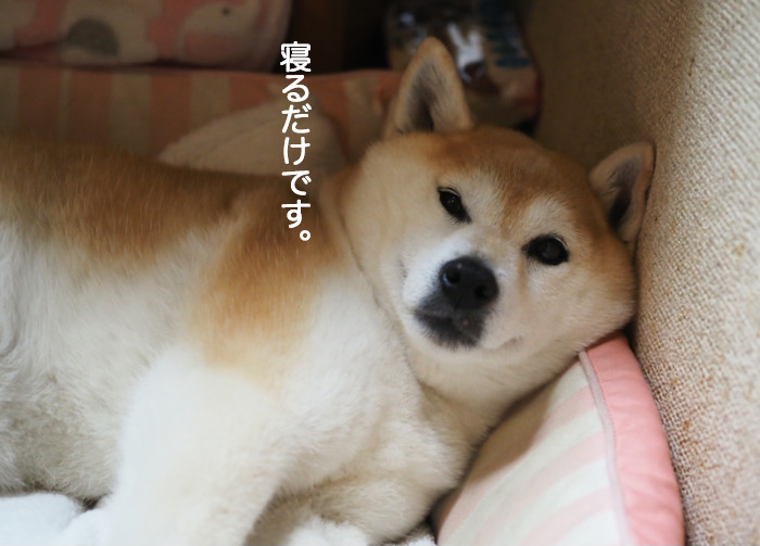 15日ブログ６