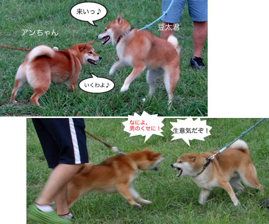 17日ブログ3.jpg