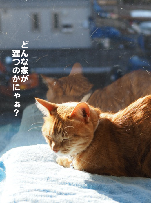 28日ブログ７