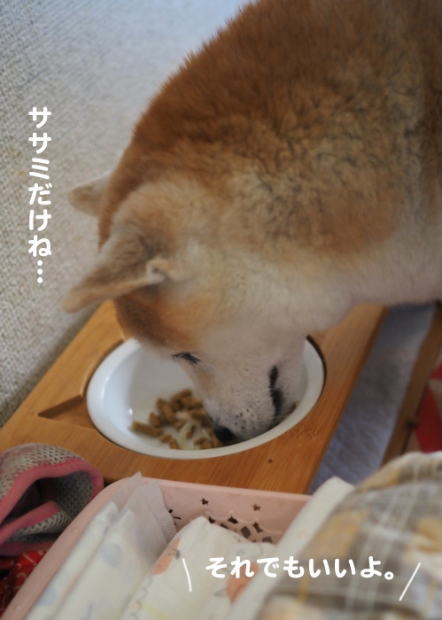 2日夕ブログ３
