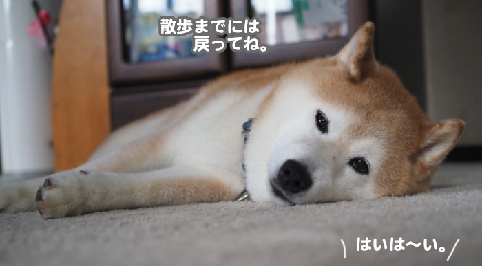 17日午前ブログ３