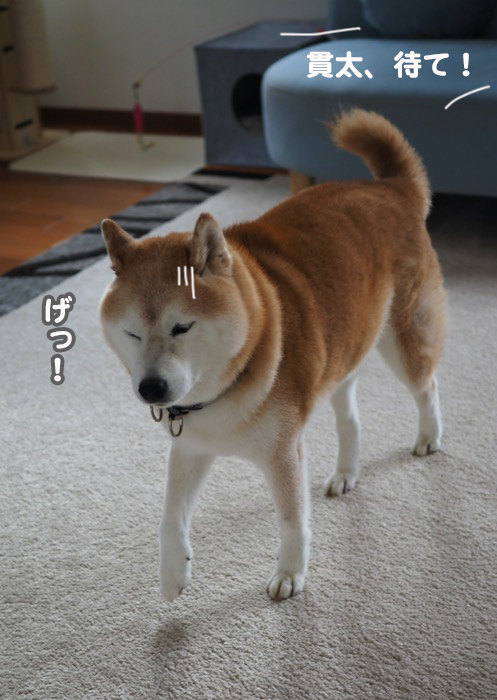 20日夕ブログ６