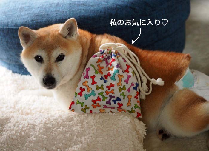 17日ブログ１