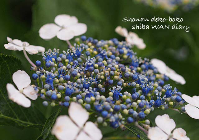 21日ブログ1