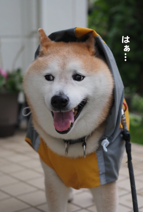1日夜ブログ６