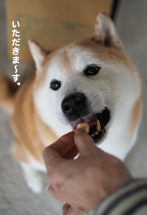 7日夕ブログ９
