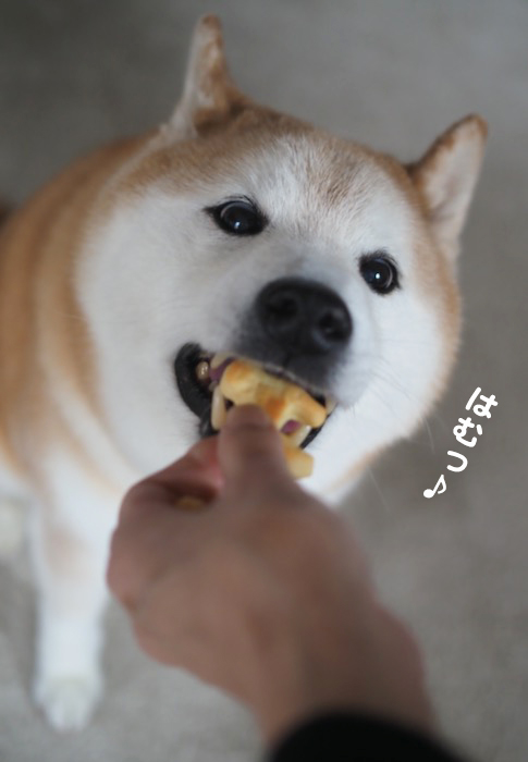 7日夕ブログ６