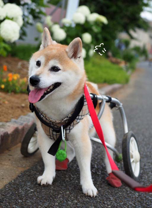 16日ブログ６