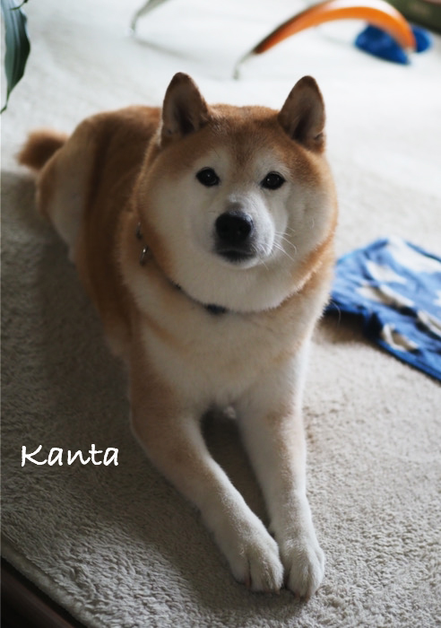 17日ブログ２