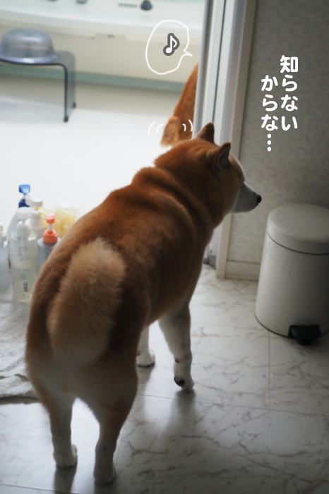 20日ブログ３