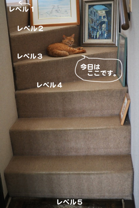 26日夕ブログ２