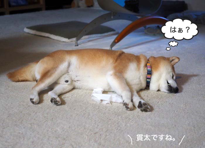 10日夕ブログ３