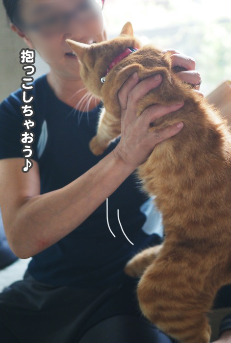 18日夕ブログ14