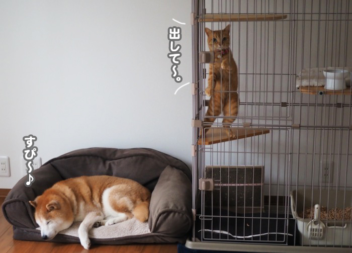 5日ブログ６