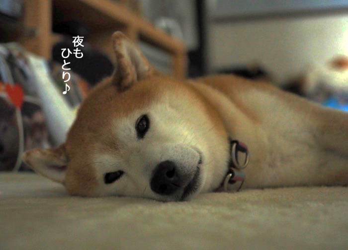 4日ブログ３