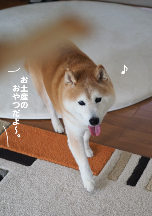 8日夕ブログ７