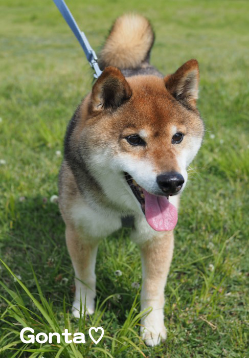 12日夕ブログ２