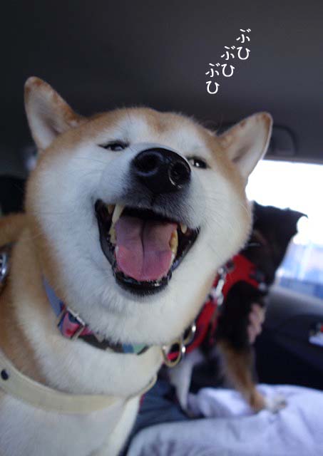 21日ブログ2