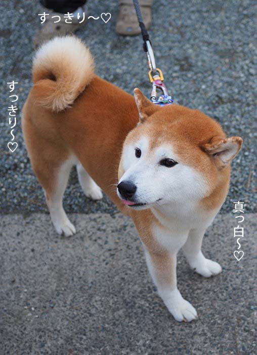 26日ブログ5