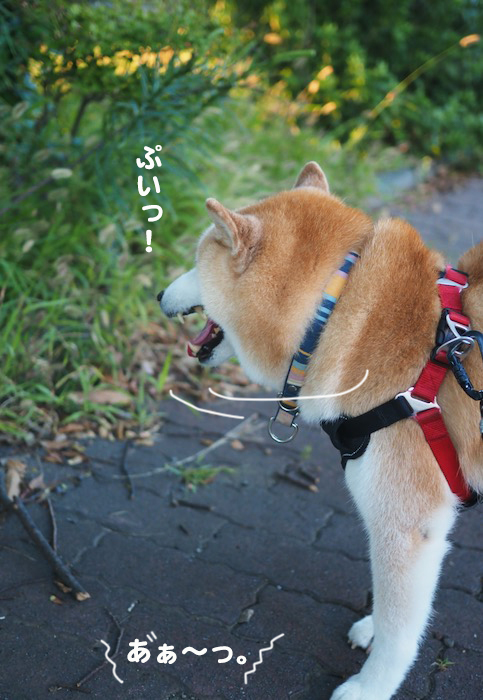 19日ブログ３