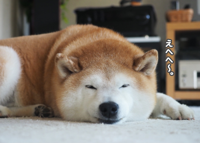 26日夕ブログ２