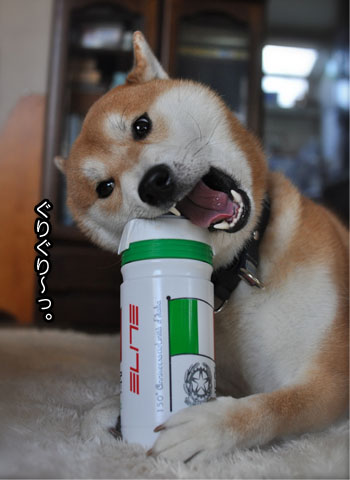 14日ブログ7.jpg