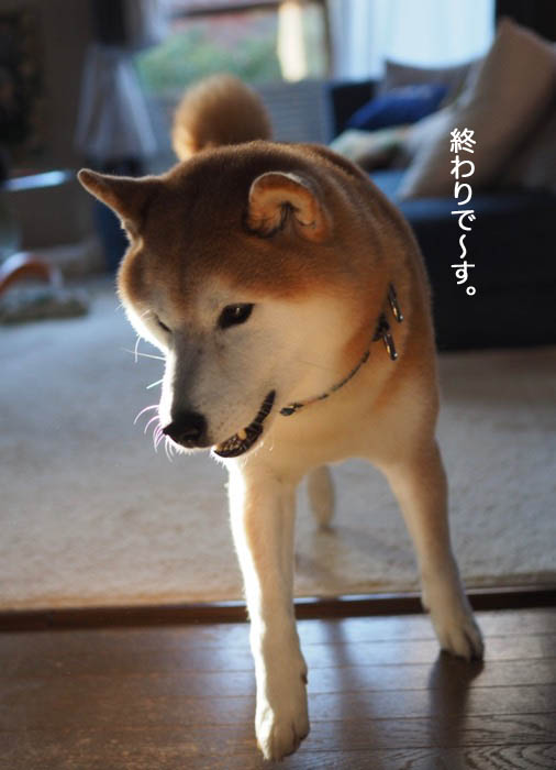 23日夜ブログ９