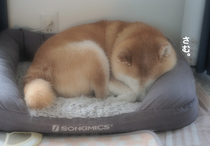 12日ブログ１