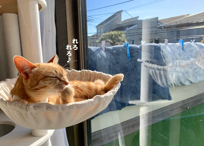 30日ブログ３
