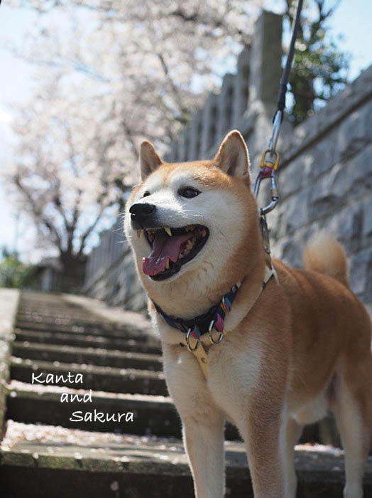 20日ブログ３