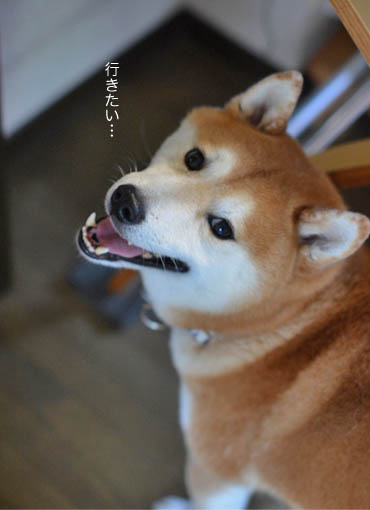 28日ブログ3.jpg