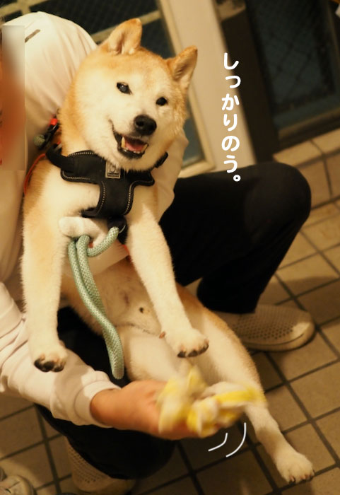 3日夕ブログ３