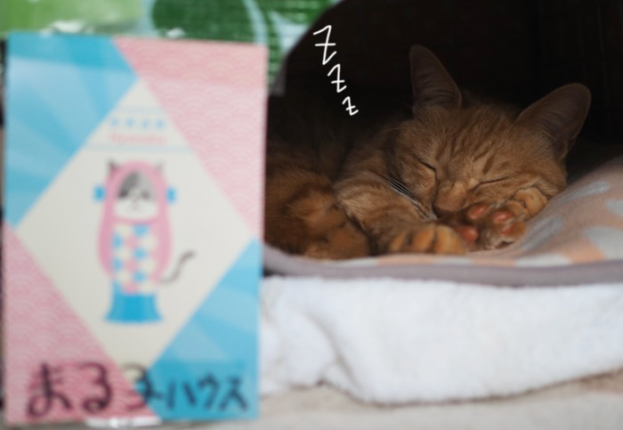 9日夕ブログ６