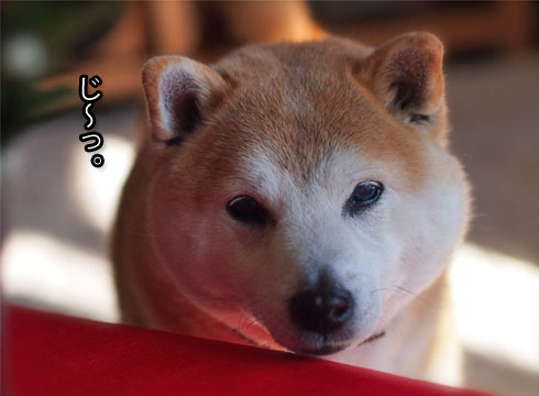16日ブログ2.jpg