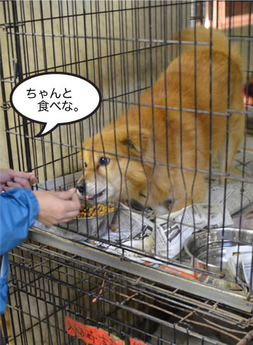 24日ブログ9.jpg