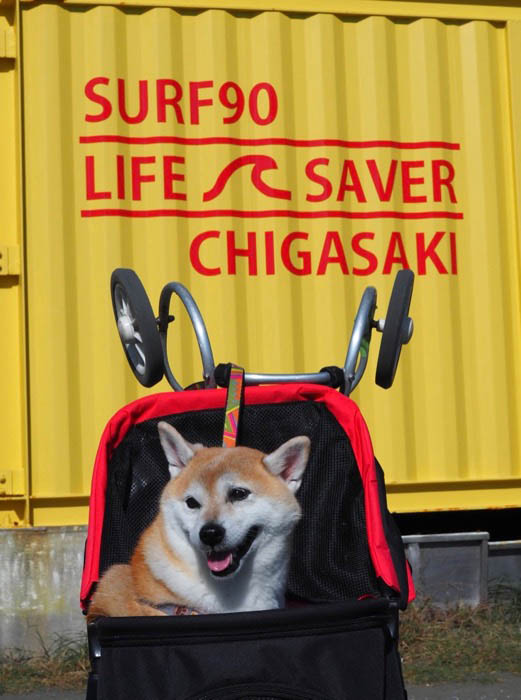 4日ブログ２