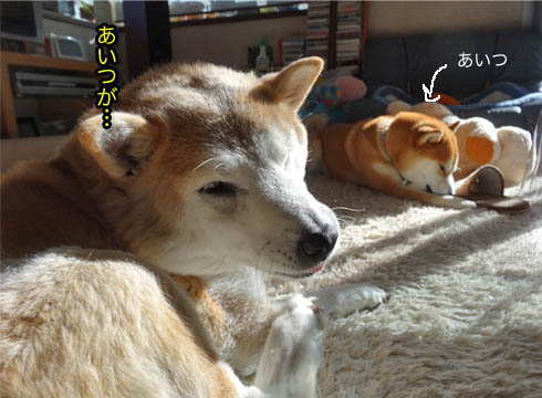 30日ブログ8.jpg