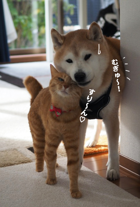 15日夕ブログ６