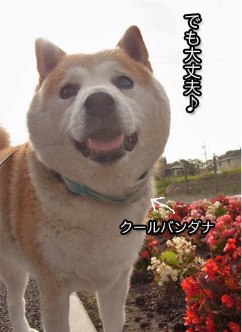 18日ブログ3.jpg