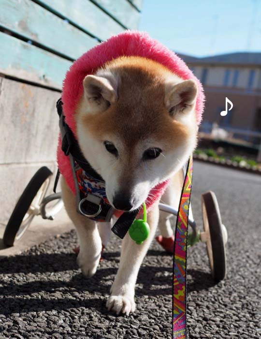 9日ブログ５